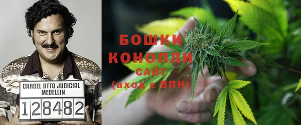 гидра Каменск-Шахтинский
