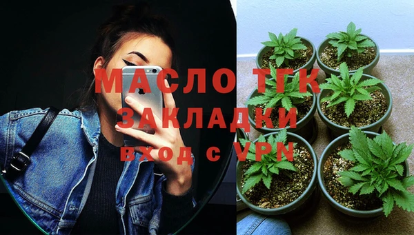 стафф Каменка