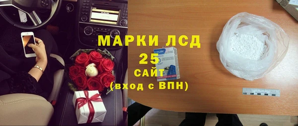 стафф Каменка