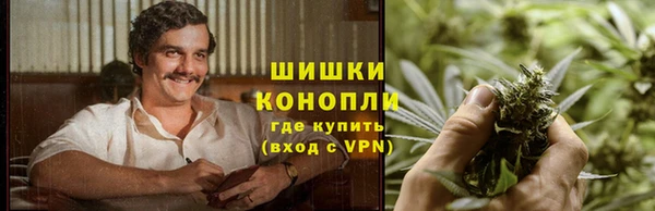 гидра Каменск-Шахтинский