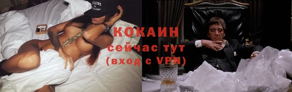 стафф Каменка