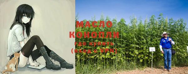 гидра Каменск-Шахтинский