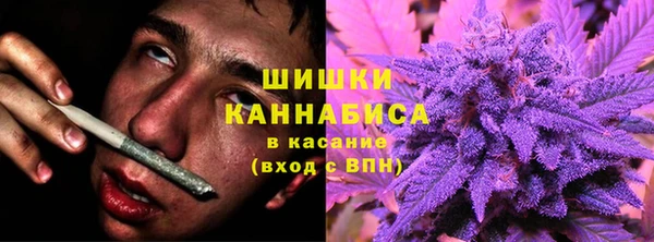 гидра Каменск-Шахтинский