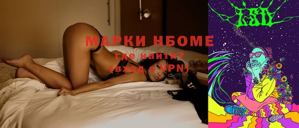 стафф Каменка