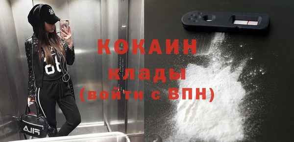 стафф Каменка