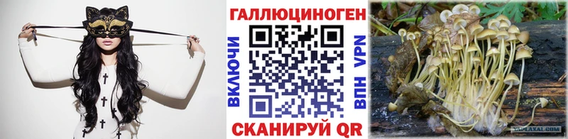 Псилоцибиновые грибы GOLDEN TEACHER Купить закладки Дегтярск